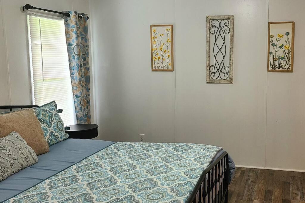 Cozy Cottage With Full View Of The Mountains! Blue Ridge Ngoại thất bức ảnh